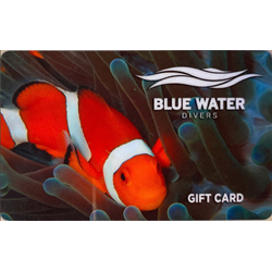 Gift Card $100 At Blue Water Divers